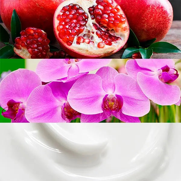 CALVIN KLEIN - Euphoria | 100ml